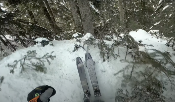 whistler skiing in trees