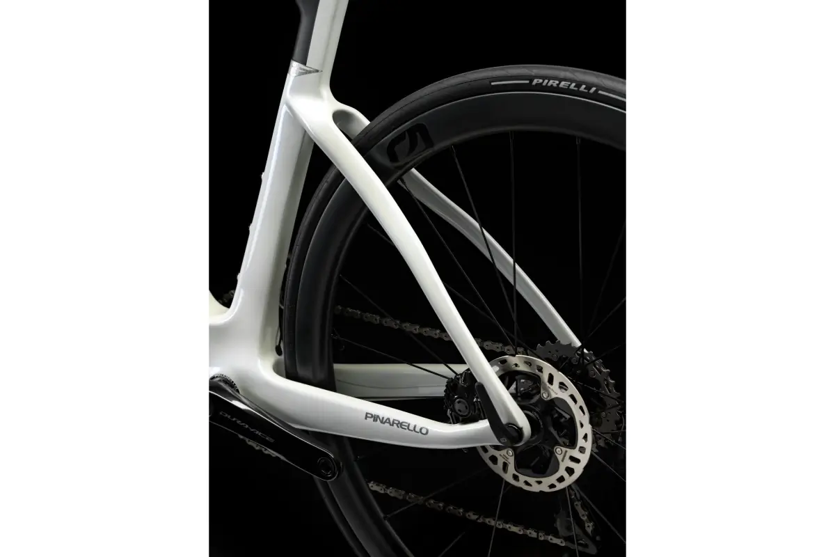 Pinarello F rear triangle detail