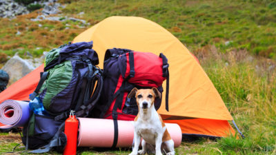 Stop the ‘Gear Shame,’ You Ignorant, Elitist Windbag