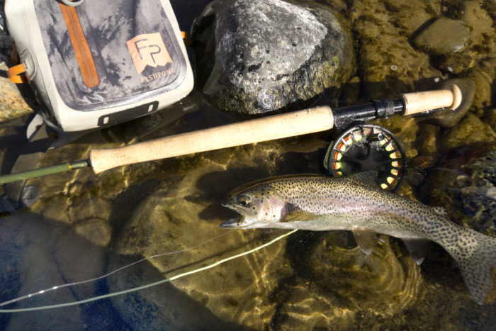 Fishpond Thunderhead Chest Pack