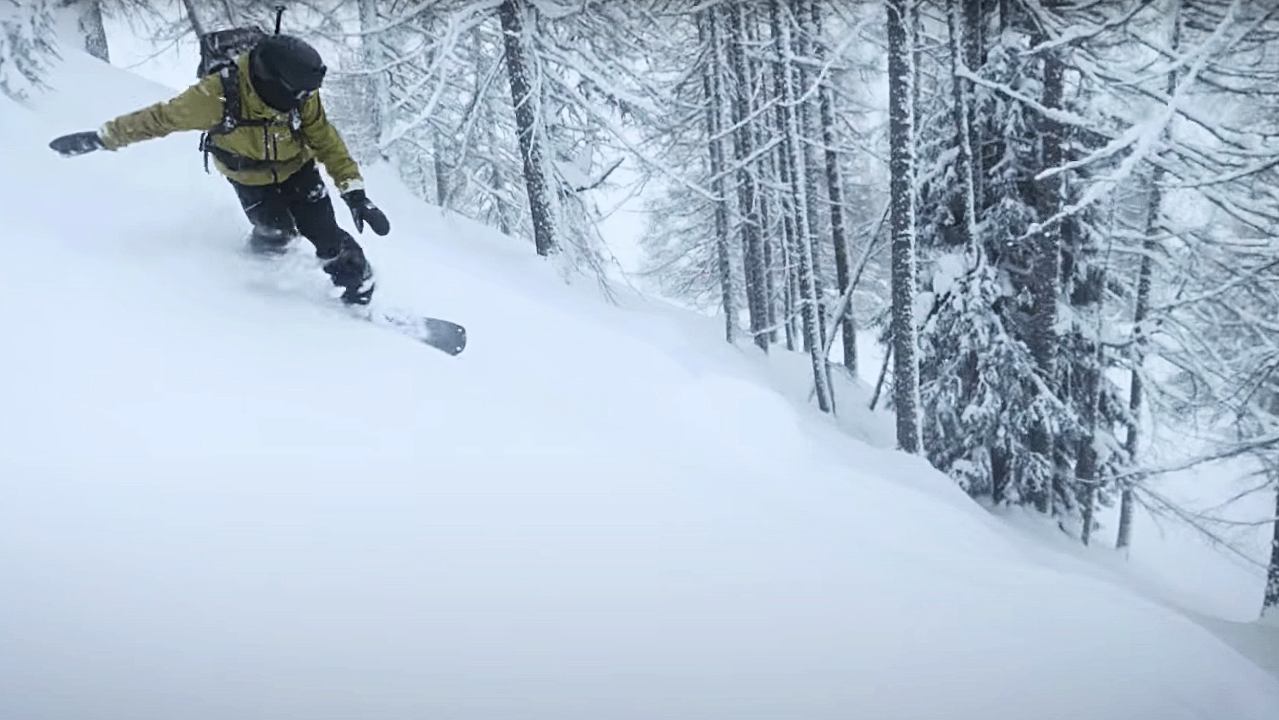 gale splitboarding film