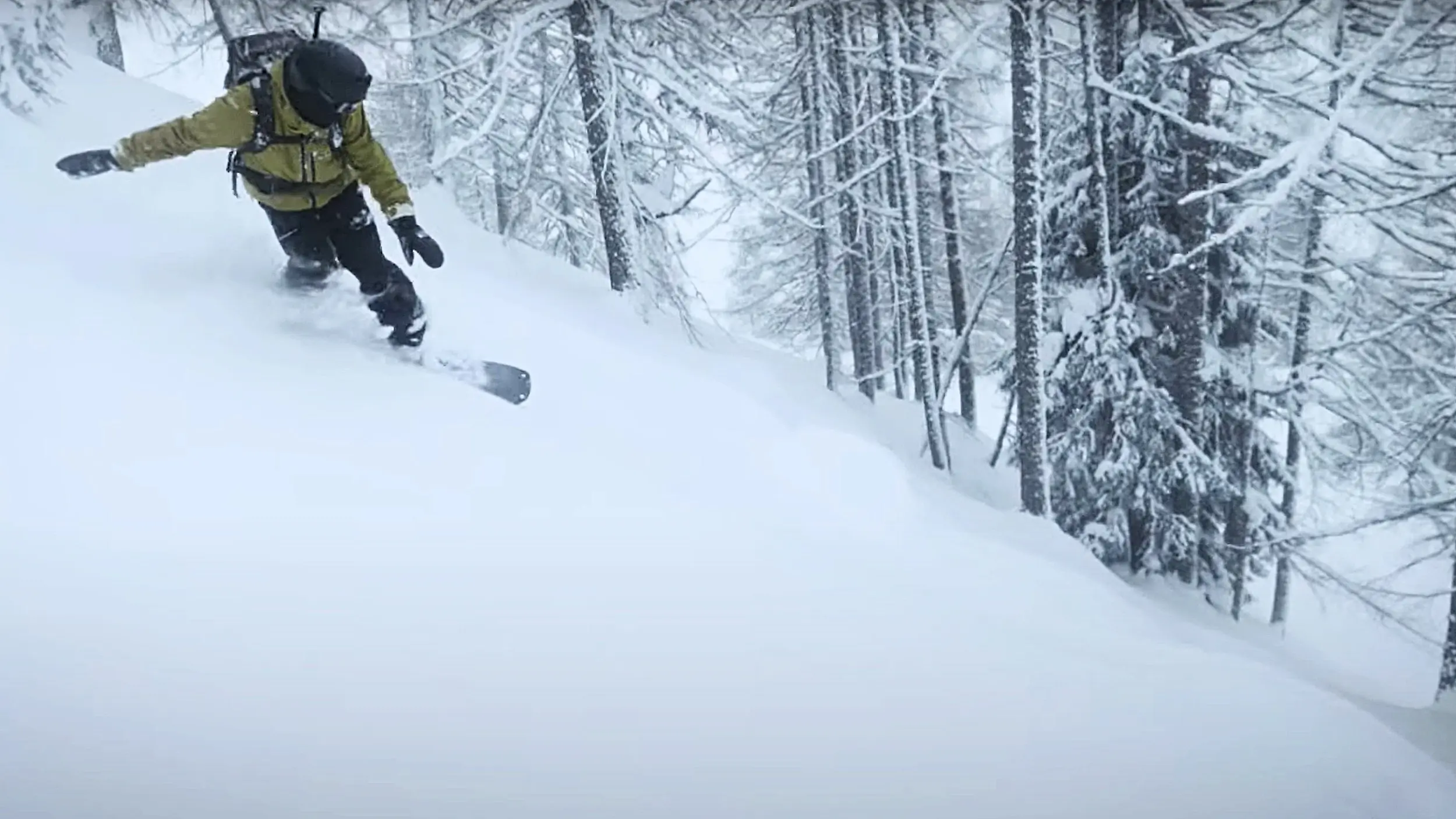 gale splitboarding film