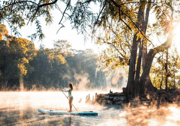 iROCKER - woman on SUP in water near large tree