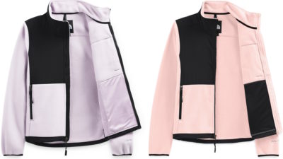 The North Face Denali 2 Jacket