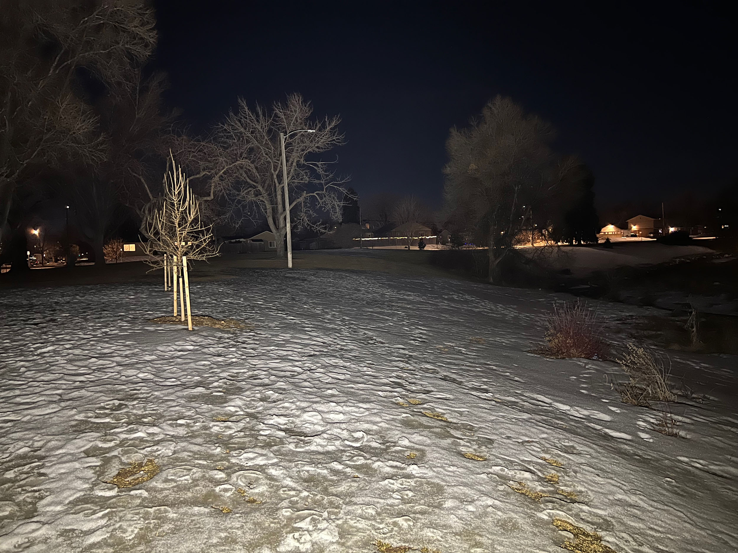 Olight Baton 3 Pro Max shining on landscape at night