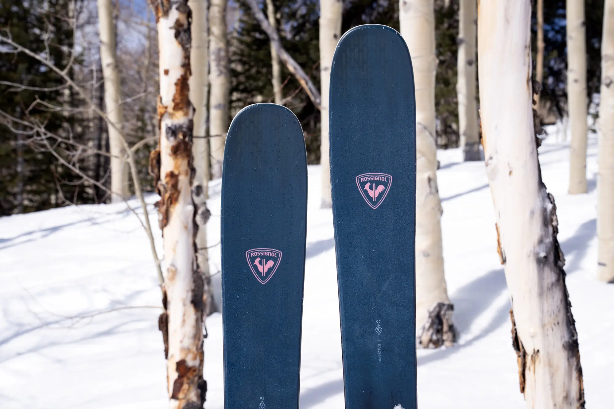 The "Air Tip" core visible in the tips of the Rossignol Rallybird 92 skis