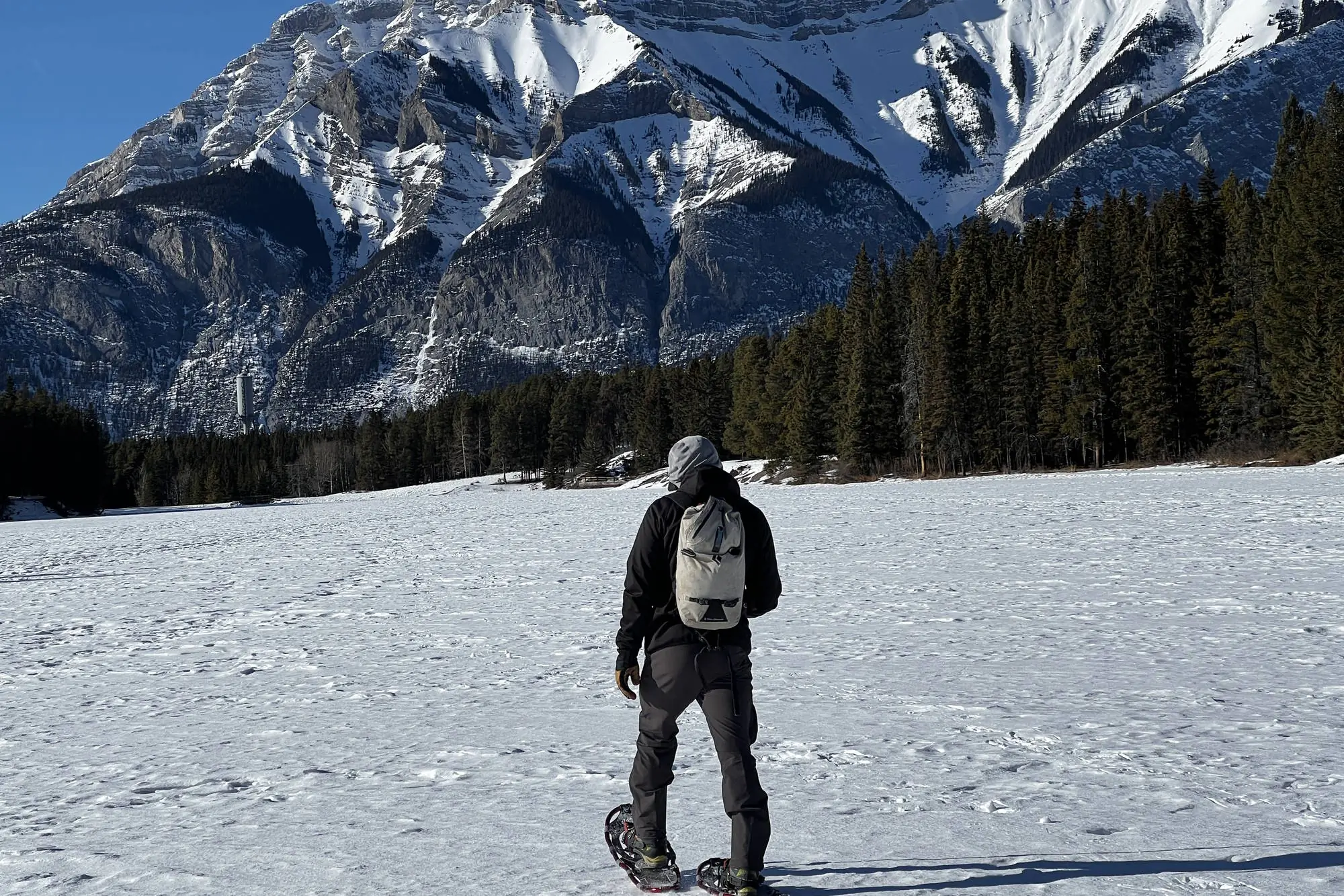 snowshoeing