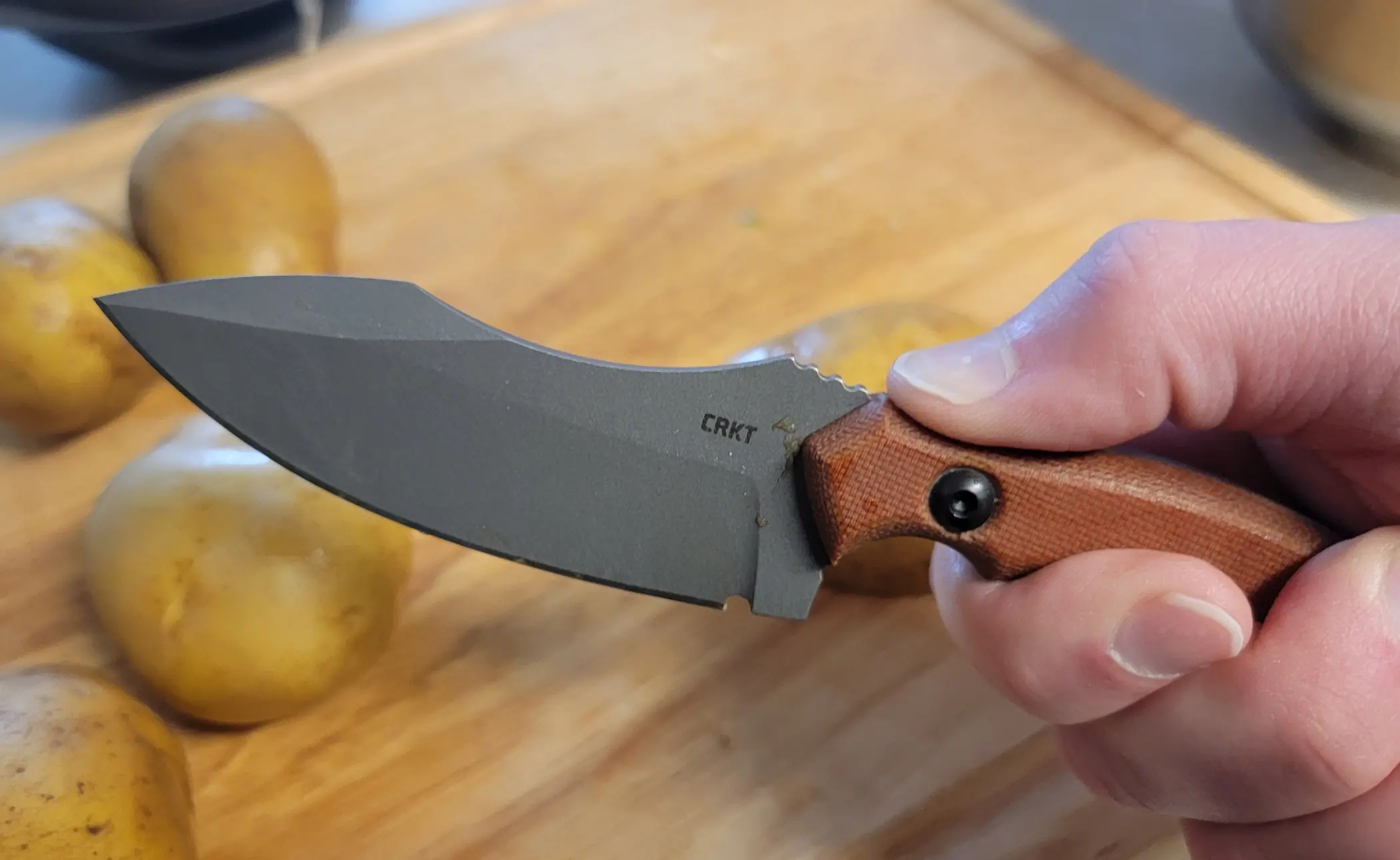 CRKT Bugsy fixed-blade knife