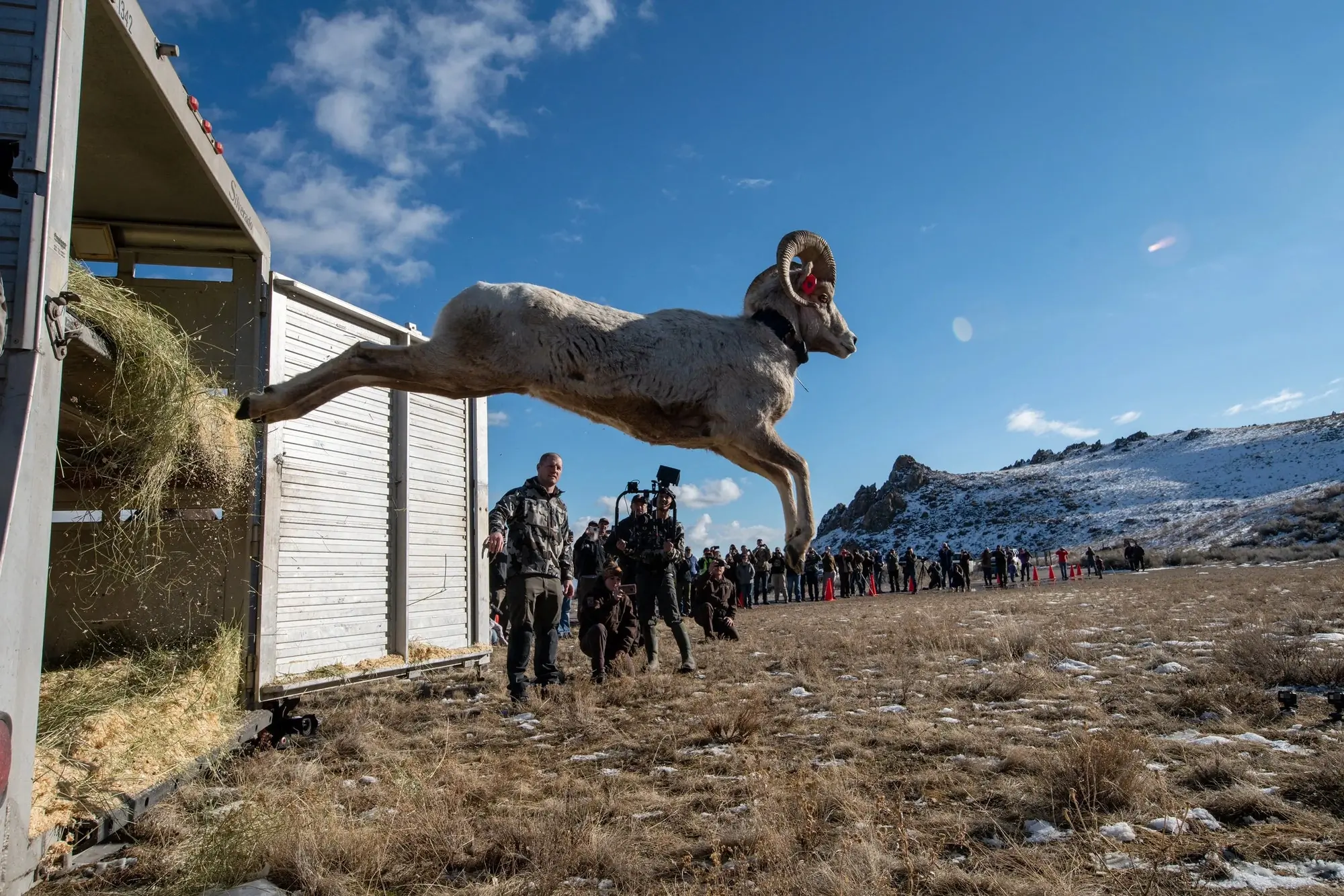 KUIU’s ‘Conservation Direct’ Puts Boots on the Ground and Sheep in the Air