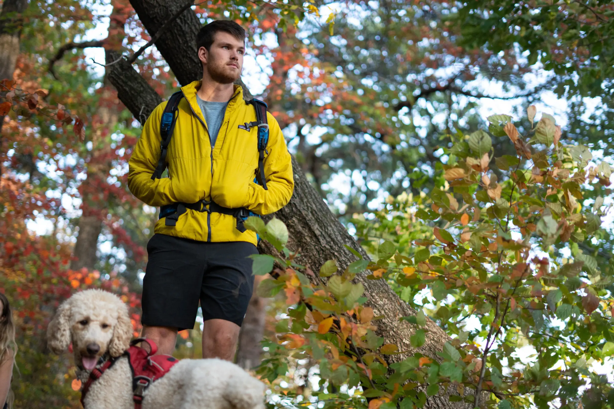 Patagonia Nano-Air Jacket