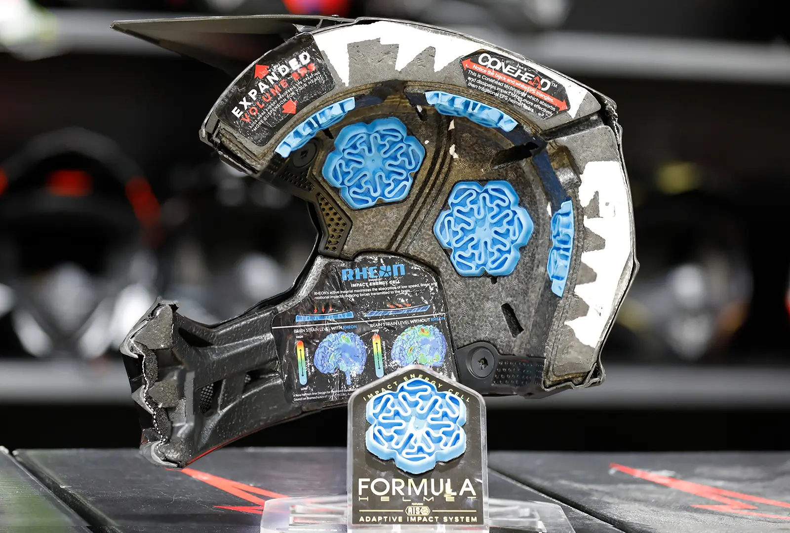 Motorcycle helmet cut-away view