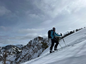 Folkrm Wyeast Backcountry Ski Poles