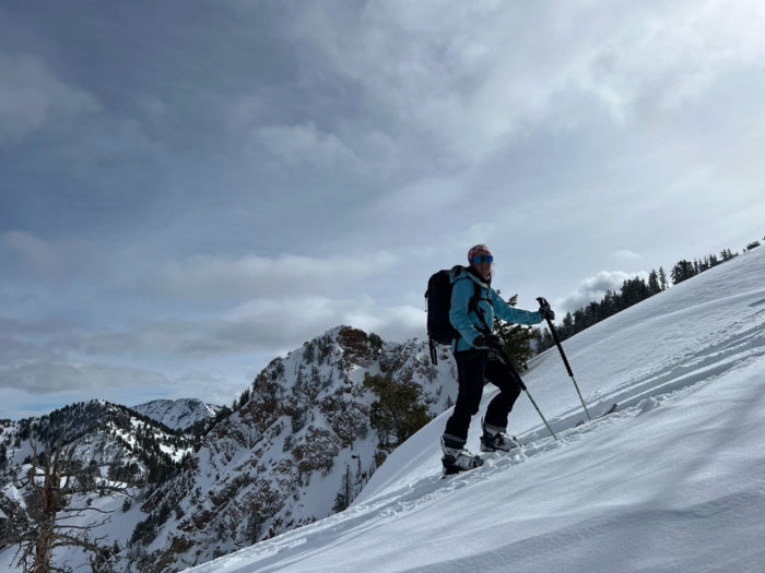 Folkrm Wyeast Backcountry Ski Poles