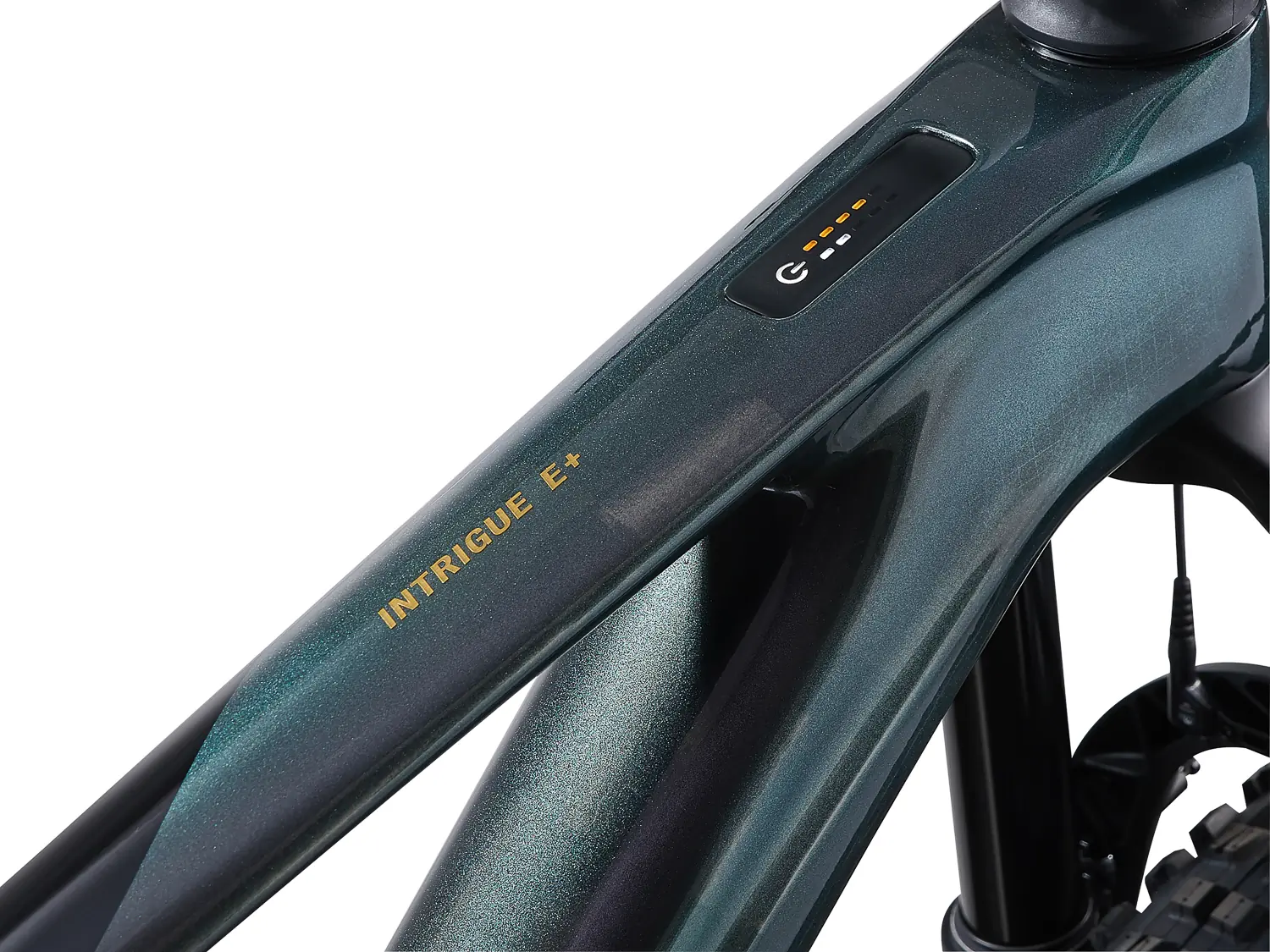 The Liv Intrigue X Advanced E+ Elite control panel