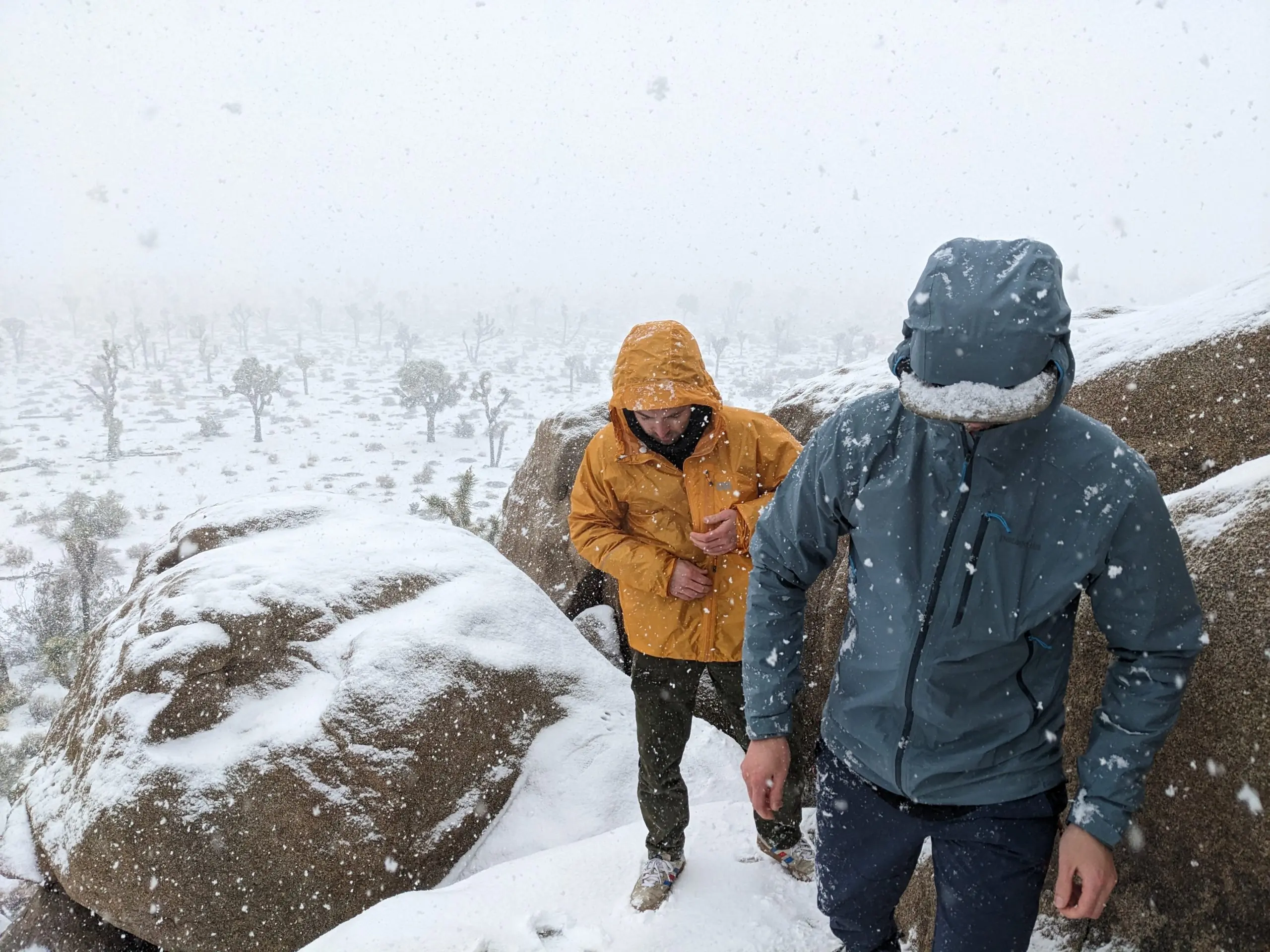 Hikers Scrambling in Joshua Tree National Park in a Snowstorm Hikers Scrambling in Joshua Tree National Park in a Snowstorm