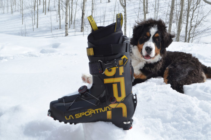 La Sportiva Skorpius CR II review