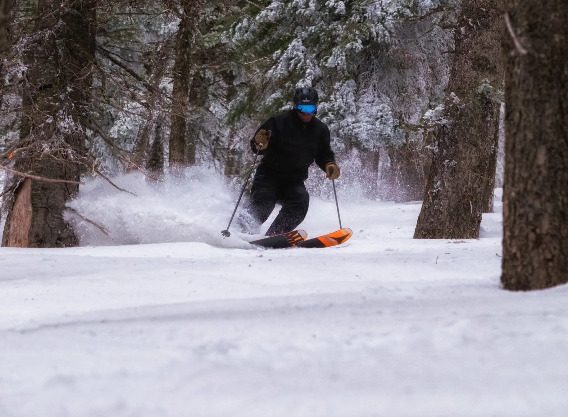 A skier enjoying turns at Pebble Creek