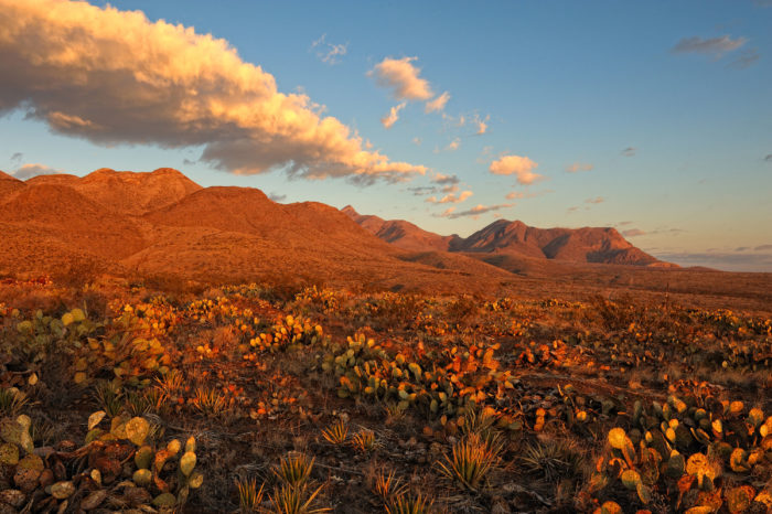 castner range in el paso texas