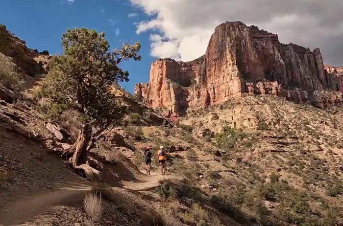 hikers running through the grand canyon