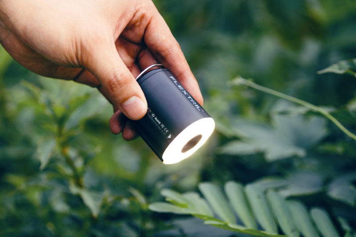 The FLEXTAIL TINY PUMP 2X lighting up some greenery in the woods