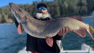 Behemoth State Record Northern Pike Caught in Idaho