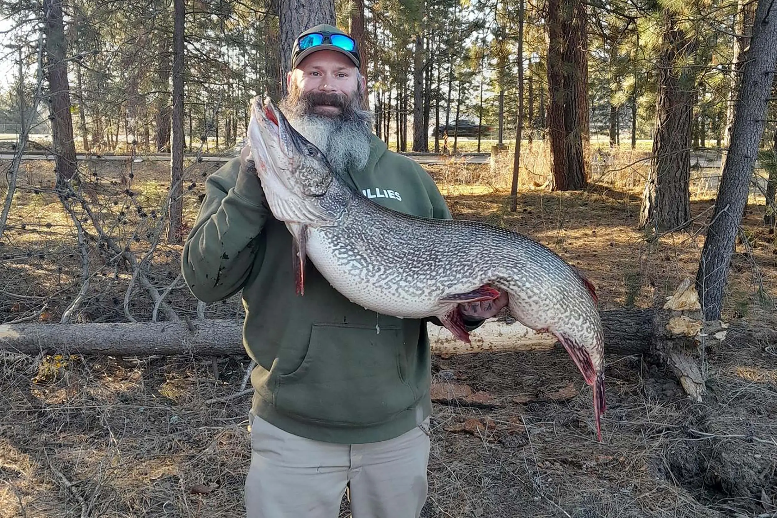a bearded man holds a huge northern pike