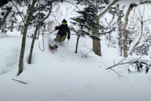a woman weaves between trees while skiing in Japan