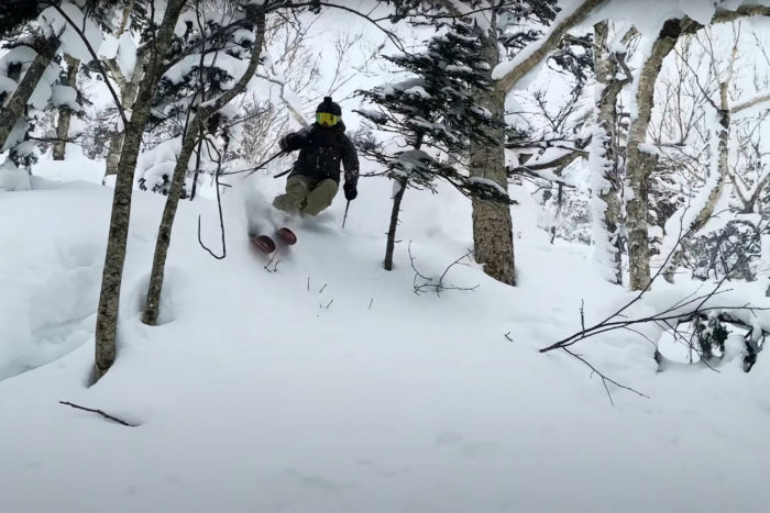 a woman weaves between trees while skiing in Japan