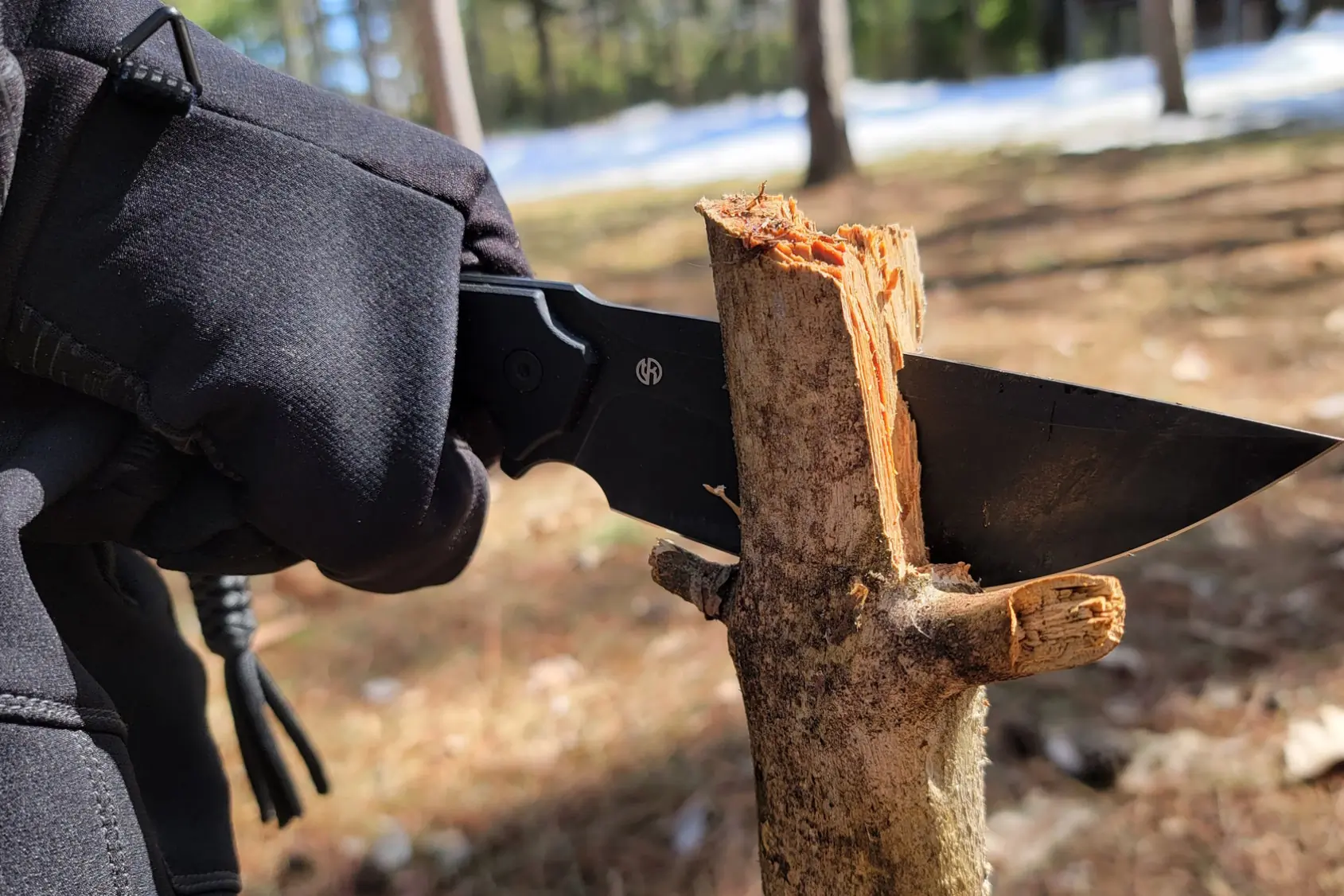 Testing civivi concept 22