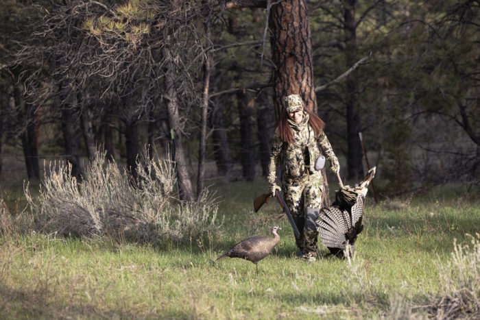 Testing sitka equinox in the field