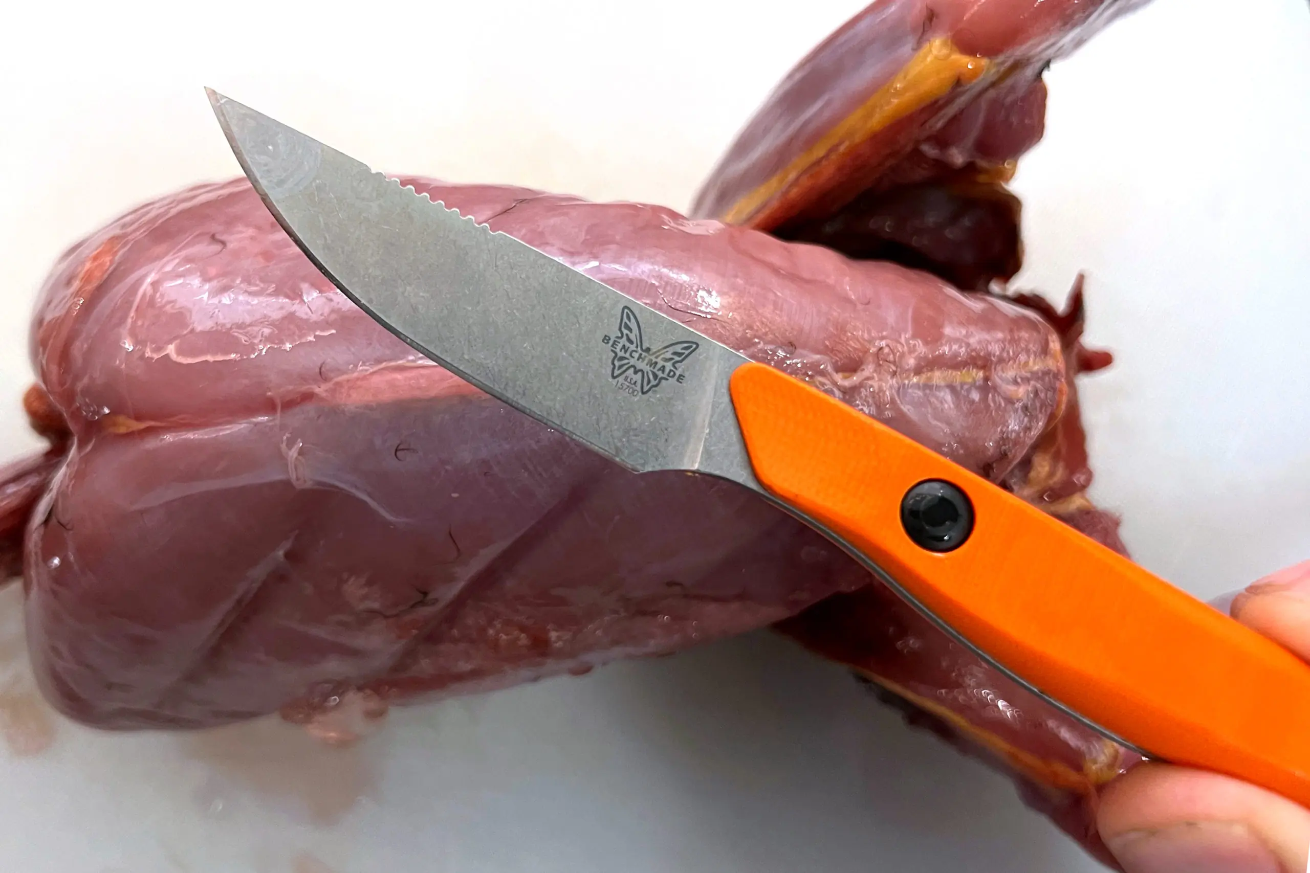 Benchmade Flyway reviewed with pheasant breast