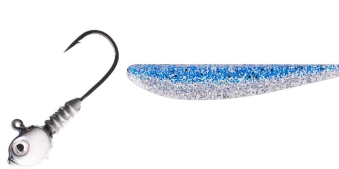 Guppy Head Jig and Slim Minnow Bass Bait