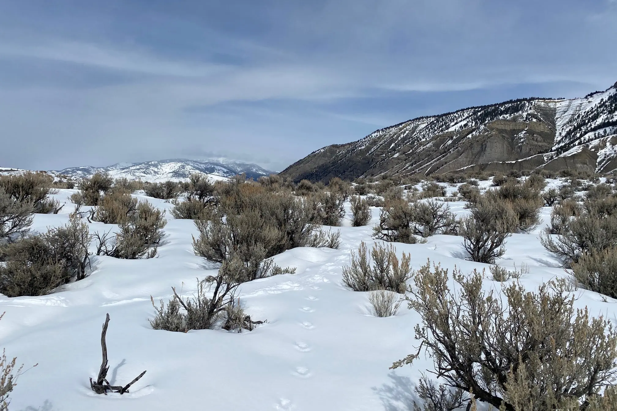 Hike in Yellowstone National Park without the crowds; (photo/Ariel Frager)