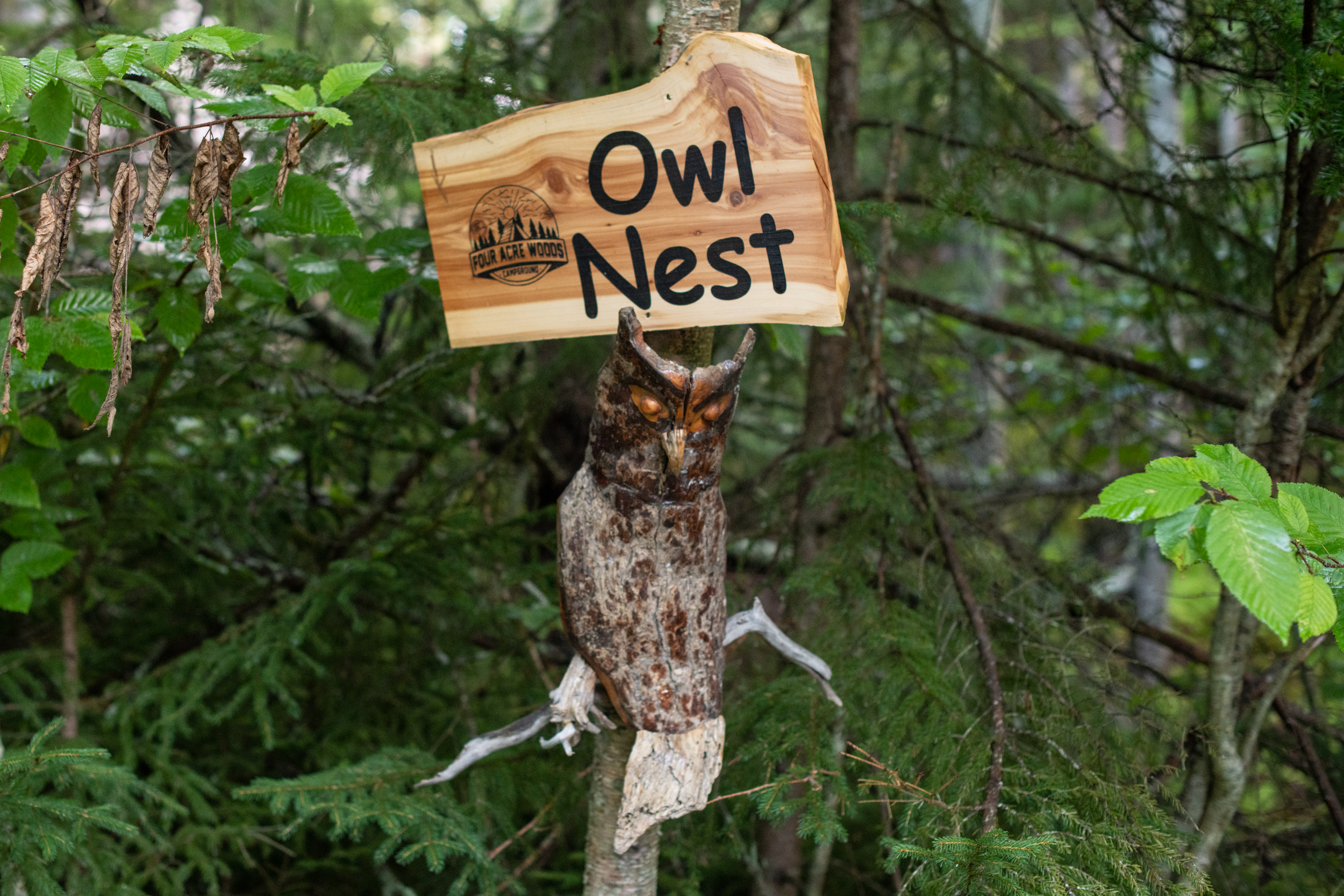 Hipcamp Owl Nest