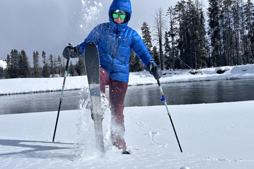 Patagonia Fitz Roy Down Jacket