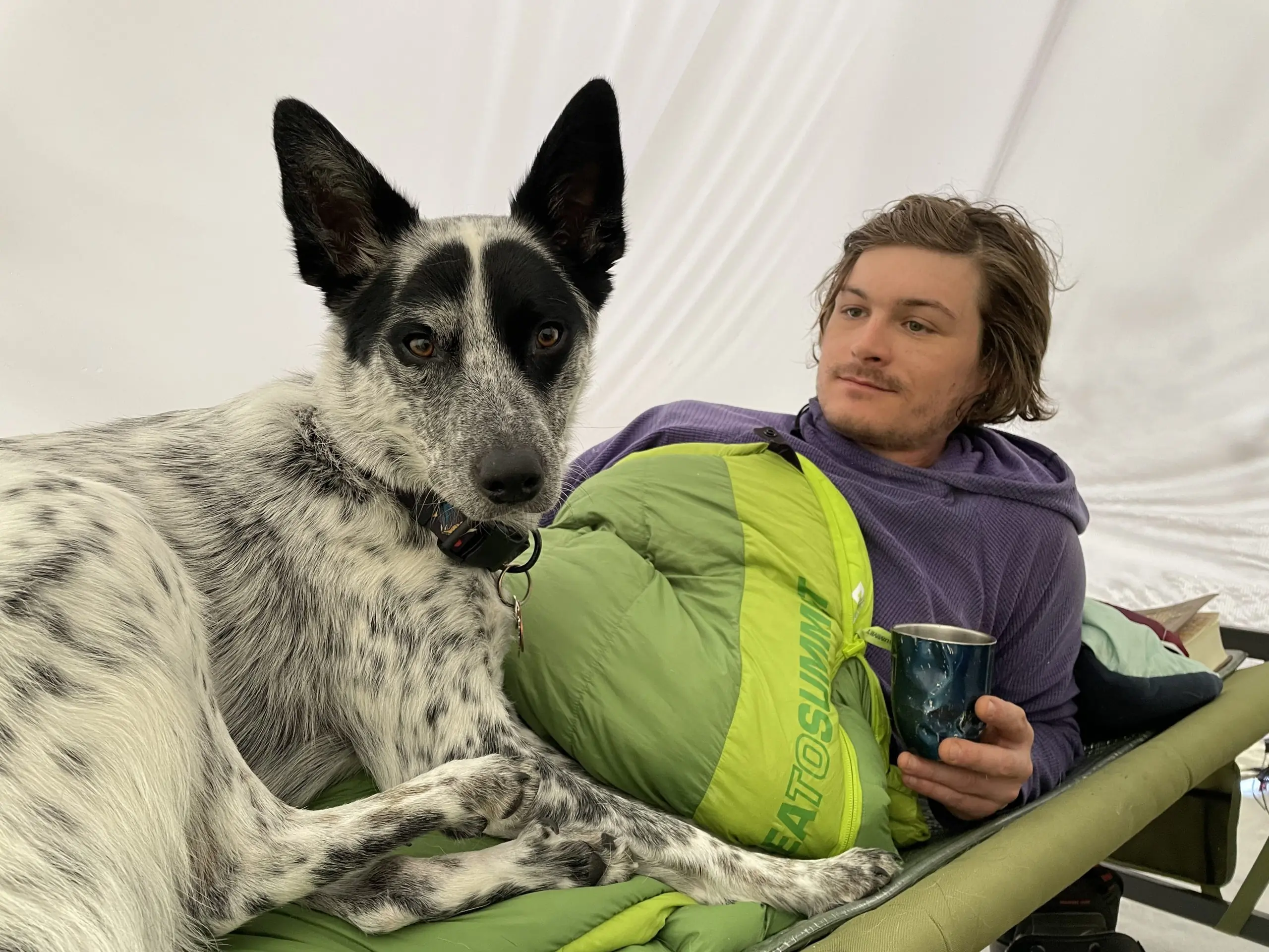 sea to summit ascent sleeping bag with dog