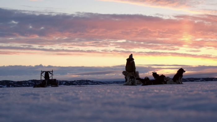 mcnair-landry and the dogs in silhouette against a sunset