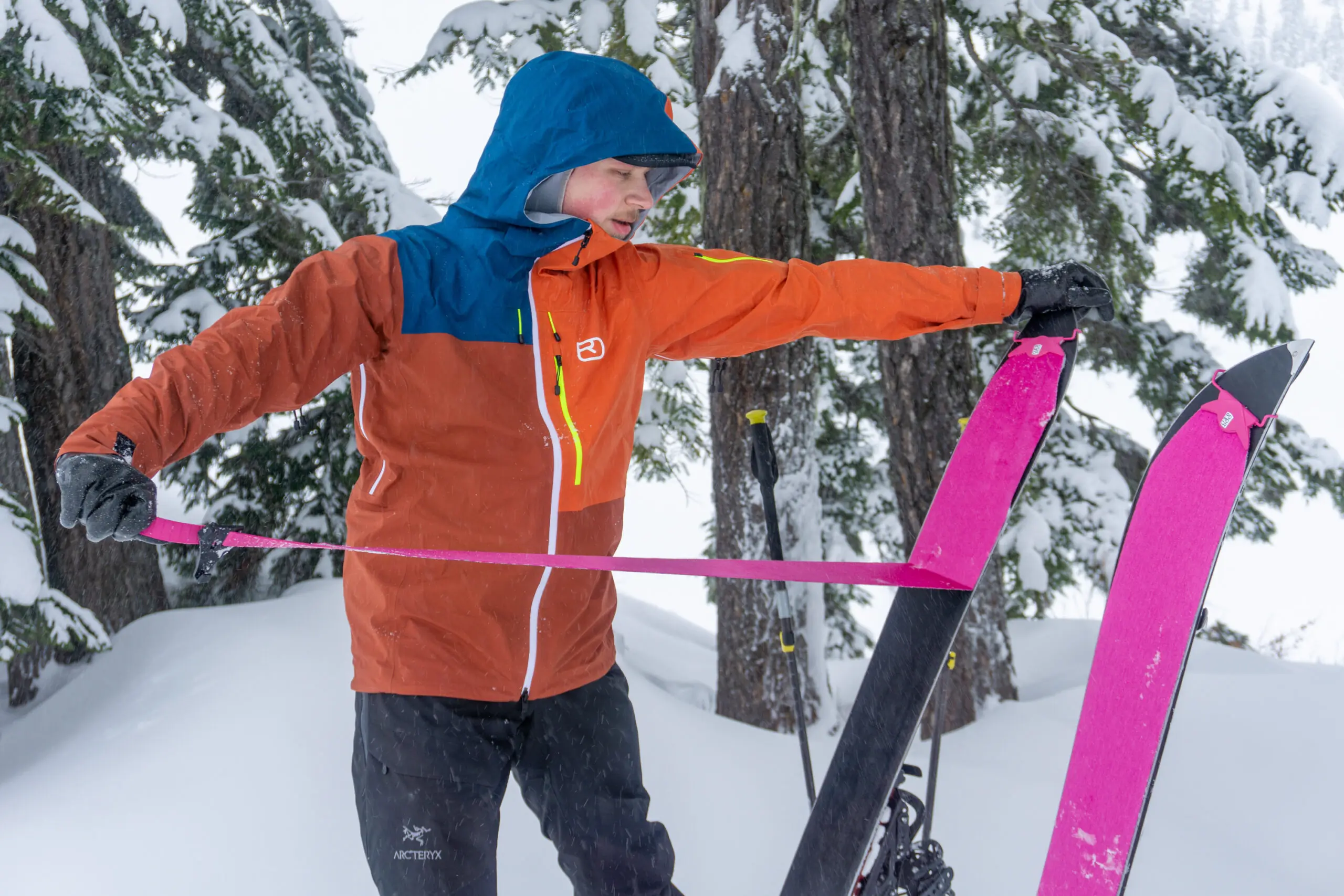 Ortovox Ortler Skins