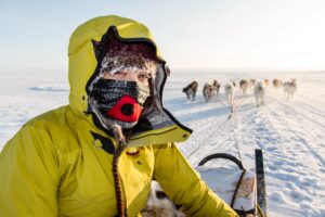 arctic dog sledder sarah mcnair-landry with her dogs