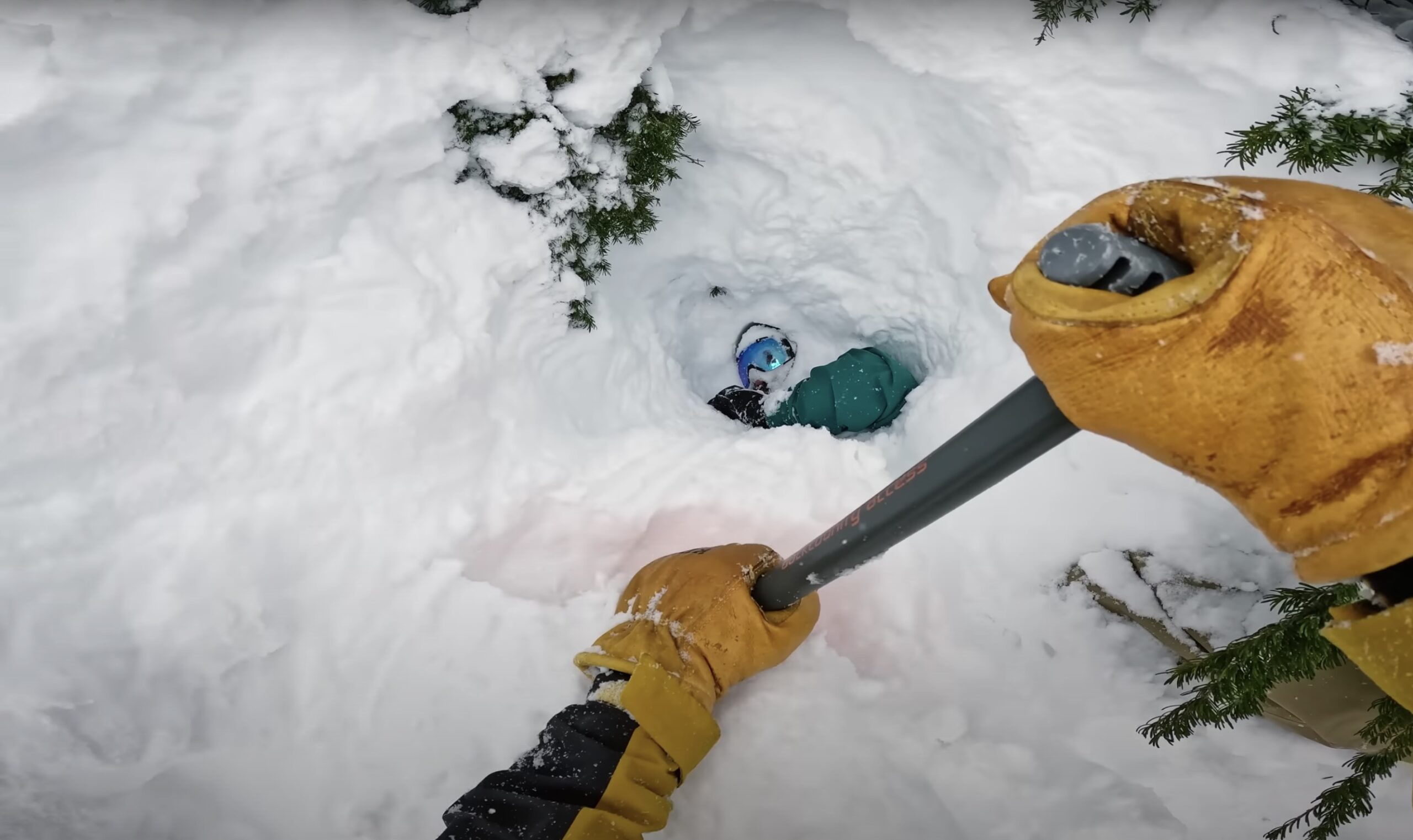 Tree Well Rescue; (photo/GoPro)
