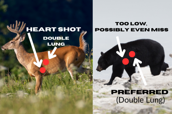 Bear Hunting is NOT the same as Deer Hunting