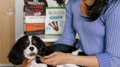 PetSmart Deal: Save 20% on Wellness Pet Food & Treats