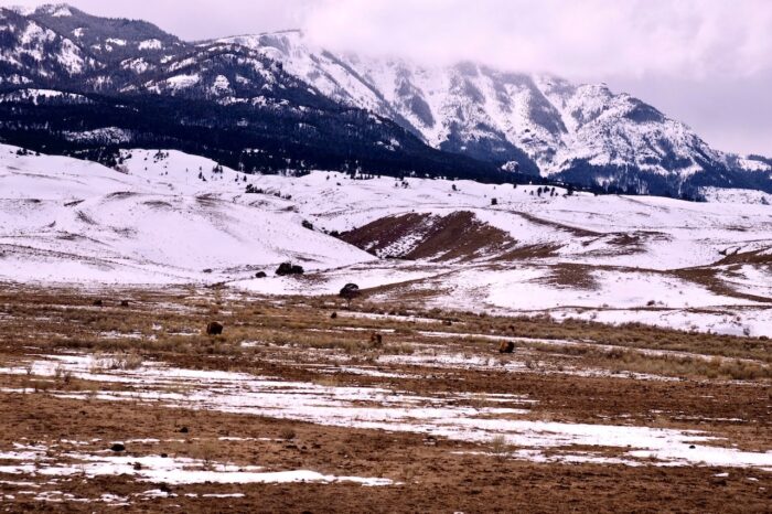 Find hiking trails in Yellowstone National Park without the crowds; (photo/Ariel Frager)