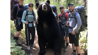 AI ‘Hiking Bears’ Fascinate Internet, Scramble Human Brains