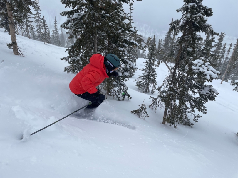 Patagonia Fitz Roy Down Jacket