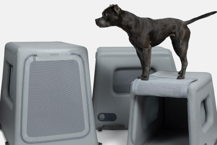 a small dog stands atop an inflatable kennel 
