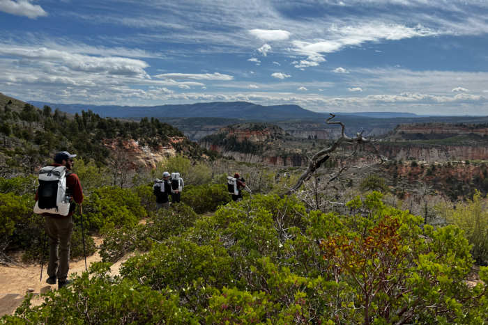 How to survive backpacking in the desert backcountry of Zion National Park; (photo/David Young)