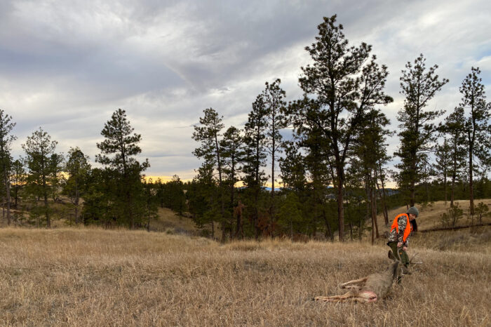 Rachelle Schrute Mule Deer Hunt