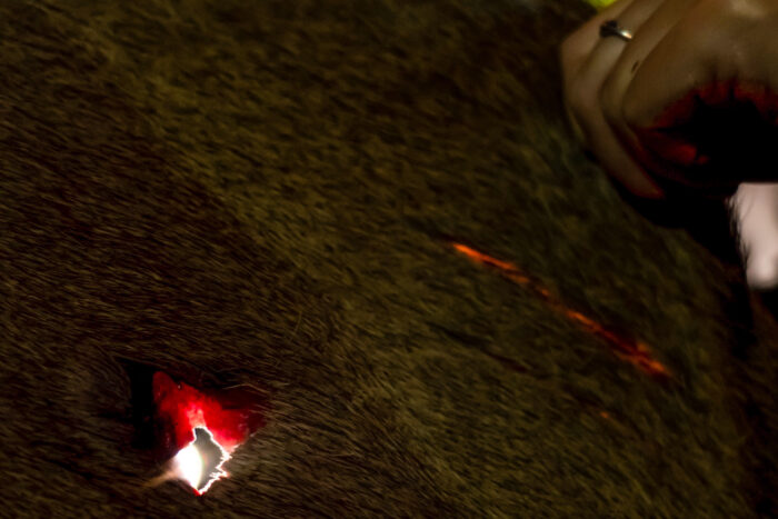 Breaking down a successfully hunted elk.