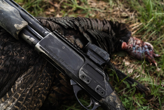 Successful Turkey Hunt with the 870